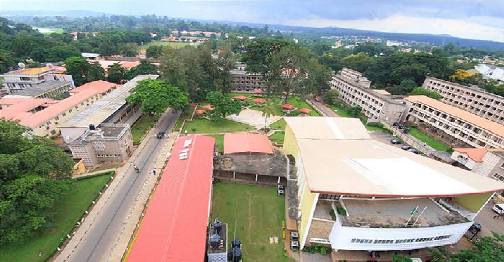 Image here